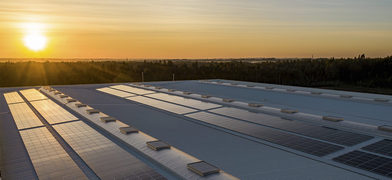 Placas solares - subvenciones a las renovables